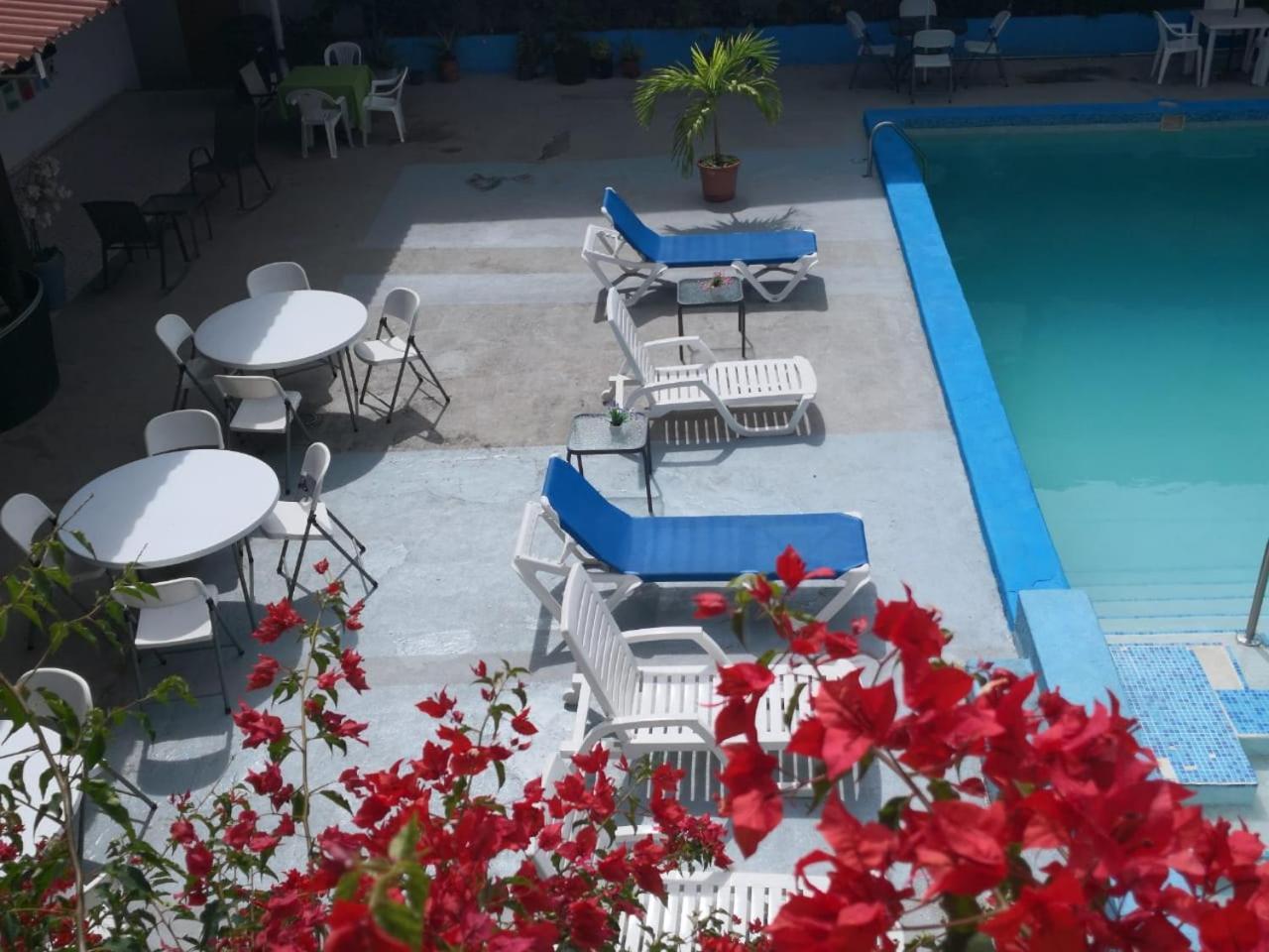 Hotel Pacific Coast ベラクルス エクステリア 写真